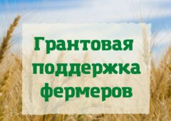 Сельскохозяйственных производителей Камчатки приглашают поучаствовать в конкурсе на получение грантов на развитие сельского туризма