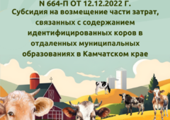 ⁣Субсидия. Содержание идентифицированных коров (664-п от 12.12.2022)